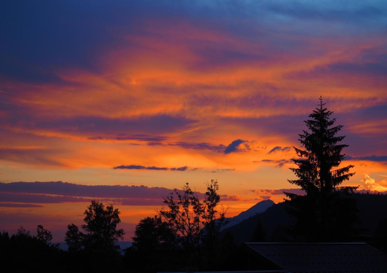Chalet Arpitan - Les Carroz - Grand Massif Zewnętrze zdjęcie