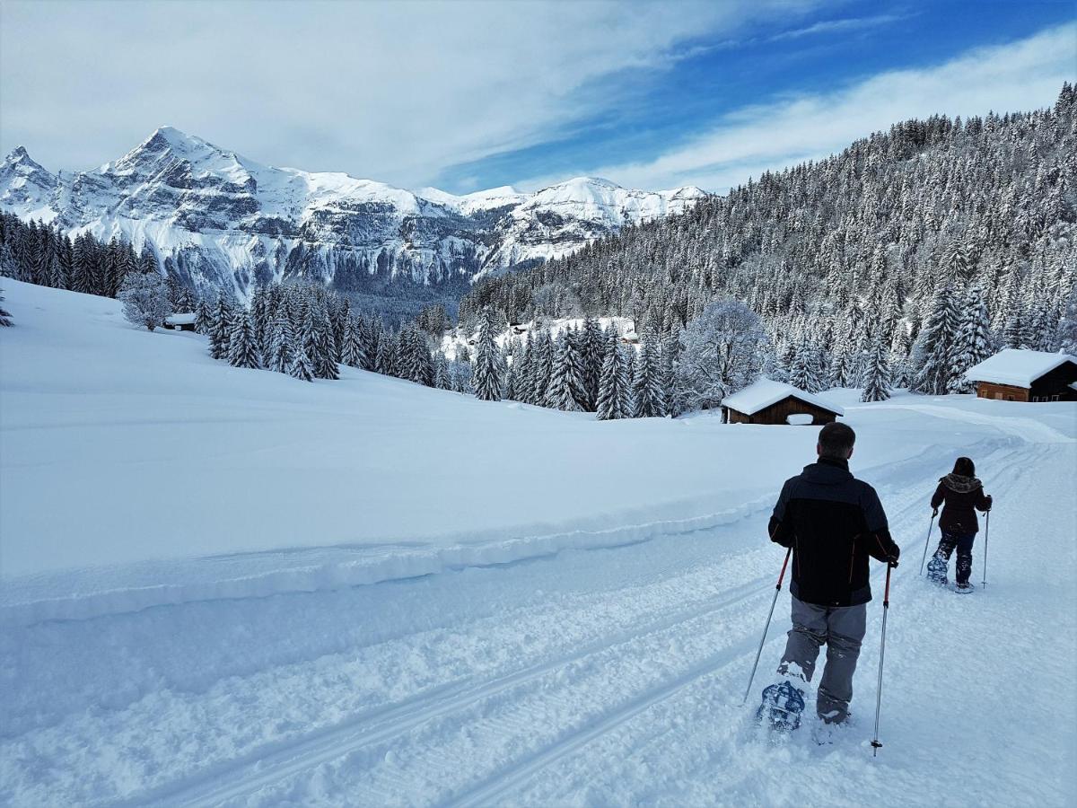 Chalet Arpitan - Les Carroz - Grand Massif Zewnętrze zdjęcie