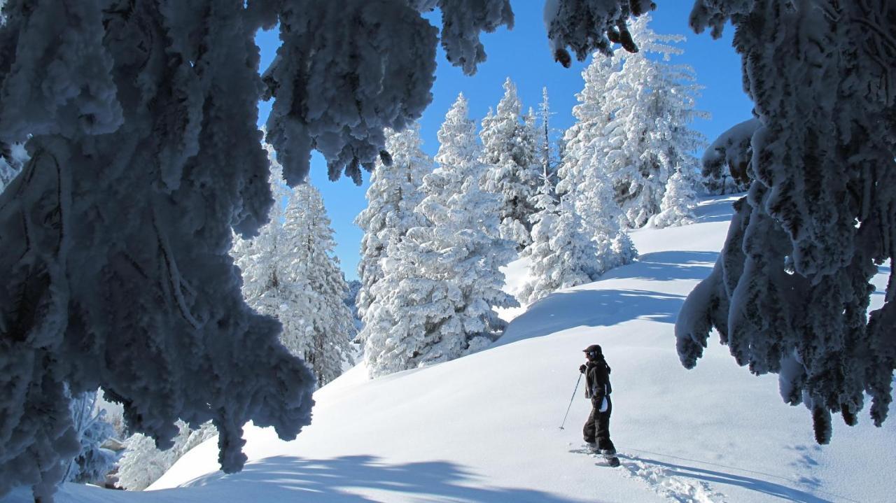 Chalet Arpitan - Les Carroz - Grand Massif Zewnętrze zdjęcie