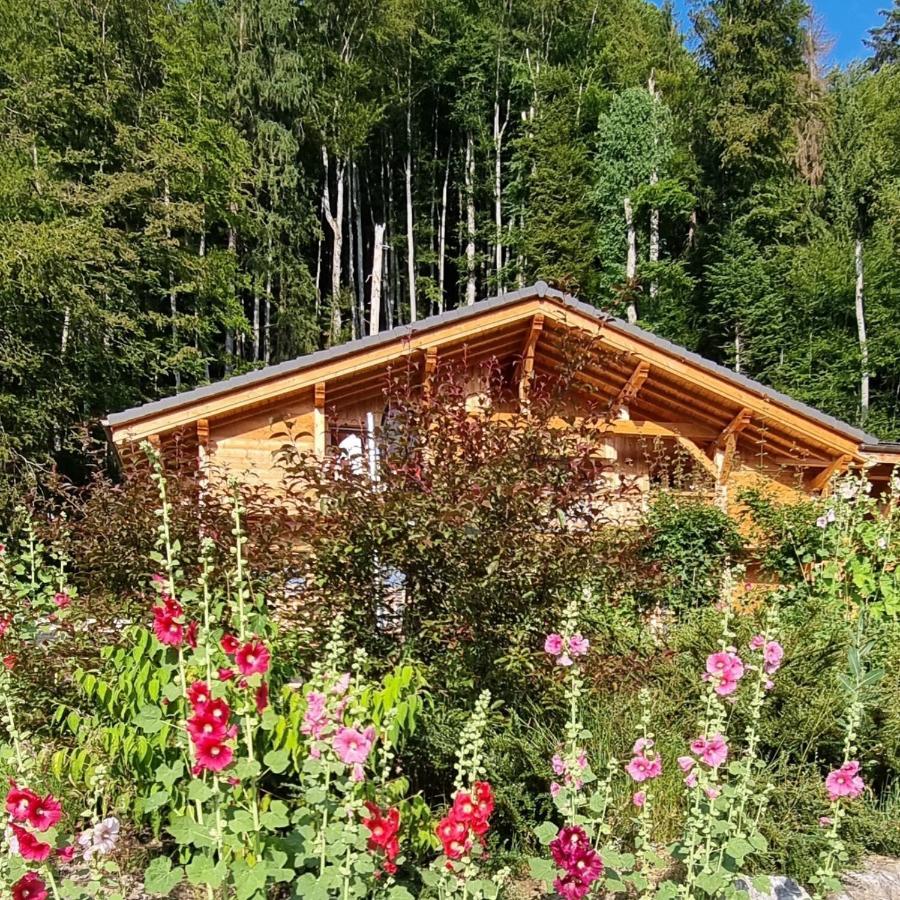 Chalet Arpitan - Les Carroz - Grand Massif Zewnętrze zdjęcie