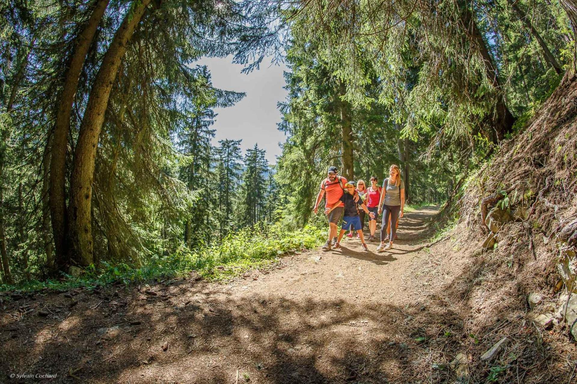Chalet Arpitan - Les Carroz - Grand Massif Zewnętrze zdjęcie